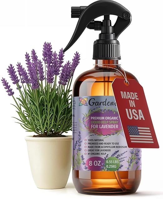 GARDENERA Professional Organic Liquid Kelp Spray for Lavender Plants - 8 oz - Ready-to-Use Fully Organic Seaweed & Kelp Fertilizer Mist
