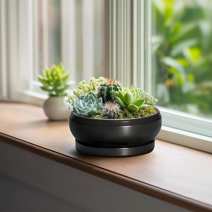 EPFamily Bonsai Tree Pots Small - 6 Inch Ceramic Succulent Pots for Indoor Plants Outdoor, Round Planter with Drainage Hole and Saucer, Shallow Planter Bowl, Bathroom Decor, House Warming Gift, Black