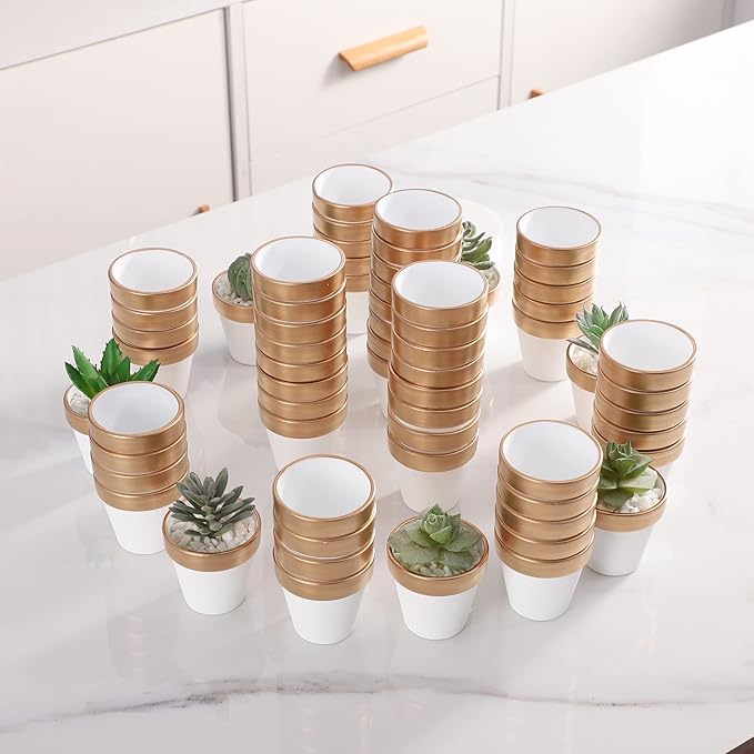 72 PCS Small Mini White&Gold Clay Pots with Drainage Holes,2.5inch Terra Cotta Pot Clay Ceramic Pottery Planter,Succulent Nursery Pot/Cactus Plant Pot,for Indoor/Outdoor Plants, Crafts, Wedding Favor