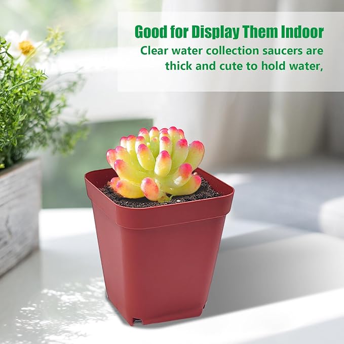 RooTrimmer Square Plastic Nursery Pot 3" 120 Pcs Deep Succulent Pots Small Flower Planter Seeds Starter Pots with Drainage (Green,Black,Red 40pcs Each,2.7Inches)