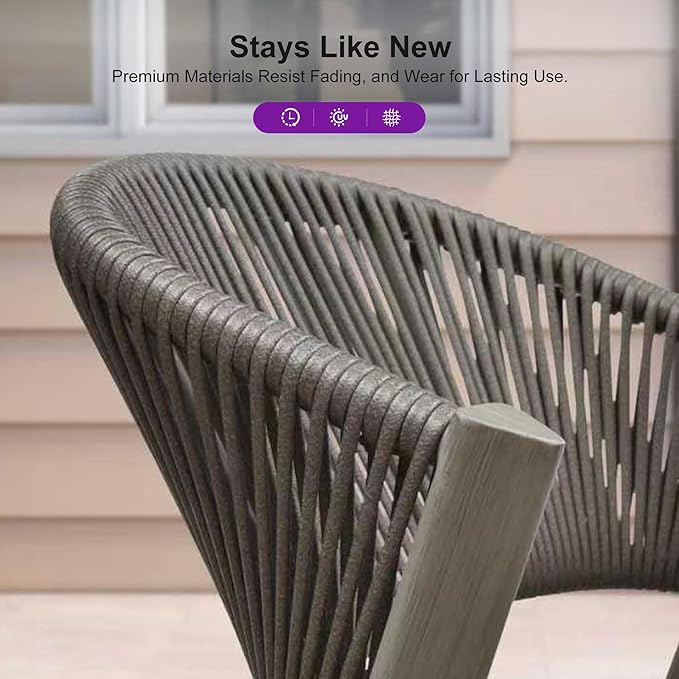 PURPLE LEAF 2 Pieces Outdoor Dining Chair All-Weather Wicker Aluminum Frame Patio Dining Chair for Lawn Garden Backyard Deck with Cushion, Gray