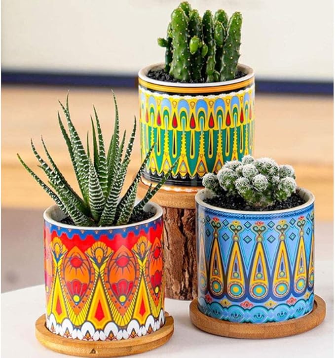 Ascrafter Mandala Succulent Pot with Drainage Hole & Bamboo Coaster, Small Plant Pots, Bohemian Ceramic Succulent Planter Pot for Small Plant-6 Pack