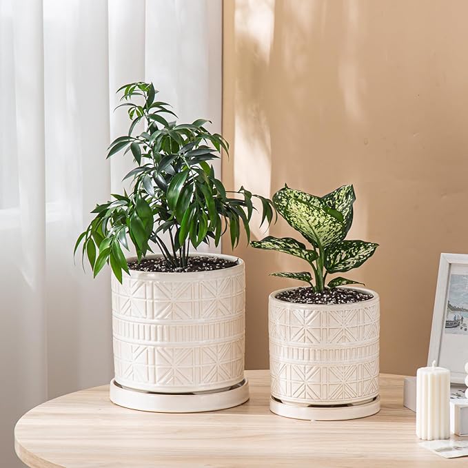 POITONRU Ceramic Plant Pots Indoor-Outdoor: 6 Inch Embossed Planters with Drainage Hole & Saucer - Modern Decorative Flower Pots for Home Garden Patio Office Decor