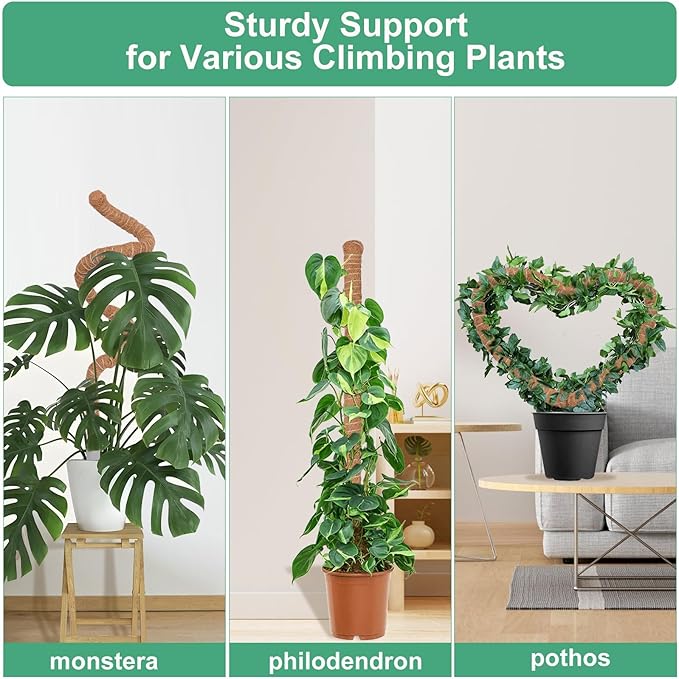 3 Pack Moss Pole, 30 Inch Monstera Plant Support， Moss Poles for Climbing Plants Indoor DIY, Coco Coir Plant Pole Moss Plant Stick Support Stake Kit for Potted Plants, Pothos, Philodendron