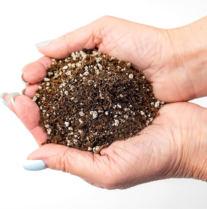 GARDENERA Premium Organic Potting Soil - 1 Quart - The Ideal Growing Medium for Delicious and Nutritious Homegrown Potatoes