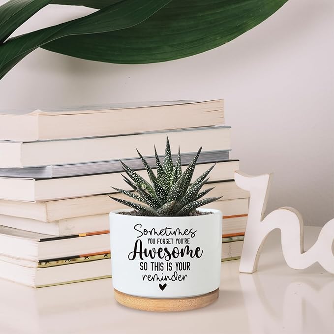 You're Awesome Funny Succulent Plant Pot, Cute 3.5 Inch Small Ceramic Cactus Planter Pot with Drainage, Home Office Desk Decor for Friends Coworker Birthday Christmas Housewarming Gifts (No Plants)