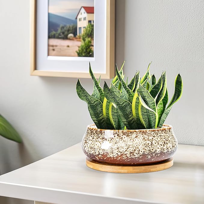 ARTKETTY Succulent Pots - 8 Inch Plant Pot, Large Bonsai Pots with Drainage Tray, Ceramic Planters for Indoor Outdoor Plants, Round Shallow Cactus Flower Plant Container Bowl Decorative Home Garden