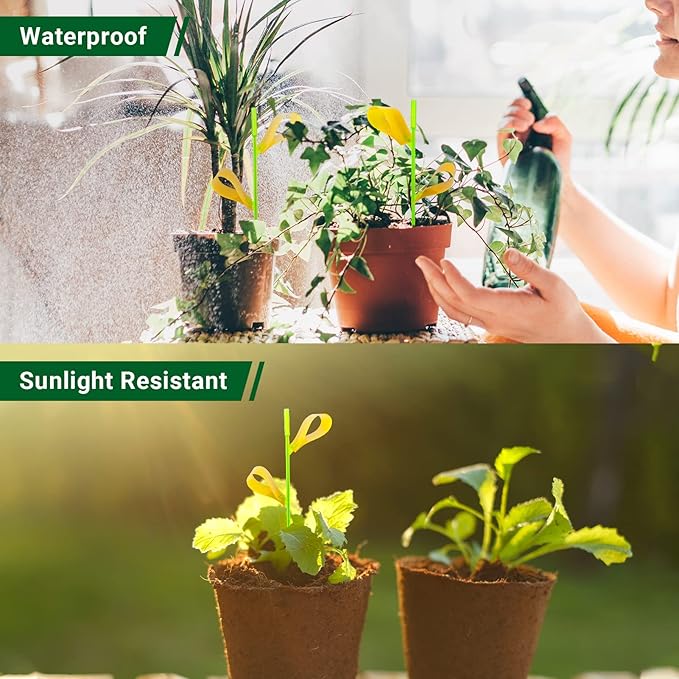 30PCS Fruit Fly Traps for Indoors Gnat Traps for House Indoor Yellow Sticky Traps for Plant Gnats Catcher for Whiteflies Fungus Gnat Mosquitoes Thrips... Stake Holders Included