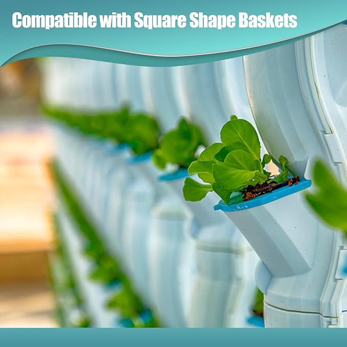 50 Pcs Square Hydroponics Pods, Seed Starter Plugs Rapid Rooter, Grow Sponges for Cactus, Succulent, Replacement Cubes for Seeds or Cuttings