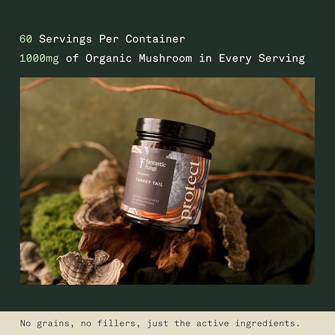 Fantastic Fungi Turkey Tail Mushroom Capsules - Organic Mushroom Extract for Gut Health & Immune Support, Functional Adaptogenic Turkey Tail Extract Supplement, Vegan Pills, 120 Caps (2-Month Supply)