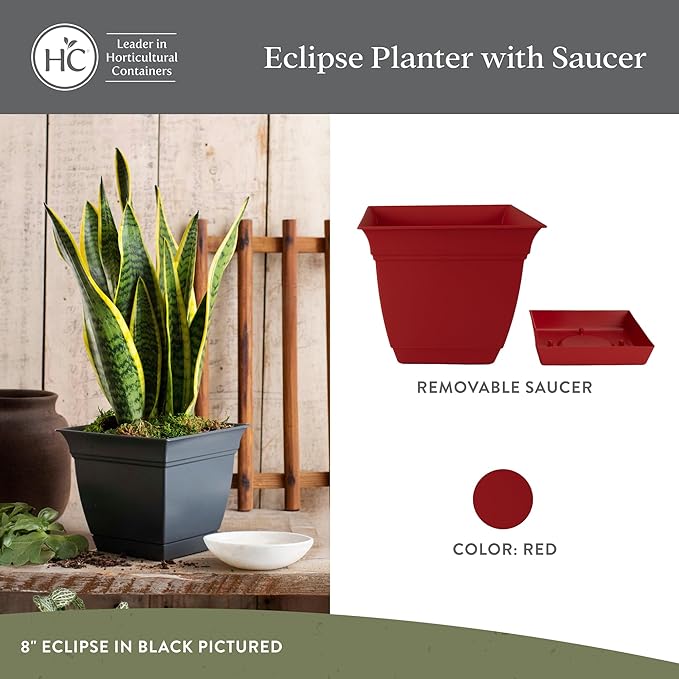 The HC Companies Eclipse Square Plastic Planter w/Attached Saucer - Outdoor & Indoor Plant Pot with Drainage Holes - Lightweight, UV-Resistant Plastic Pots for Plants (6" Red, Pack of 1)