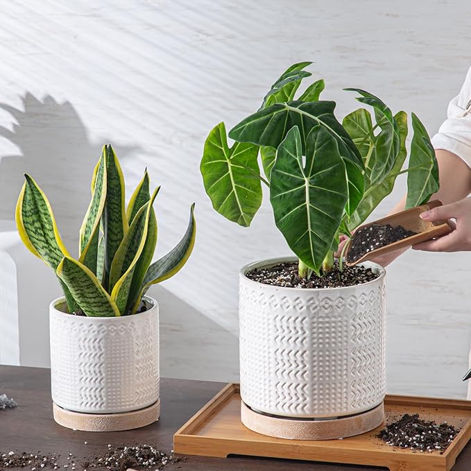 POITONRU Indoor-Outdoor Ceramic Plant Pots: 6 Inch Flower Pots with Drainage Hole & Saucer - Decorative Ceramic Pots for Plants Herbs Succulents - Home Garden Patio Lawn Use