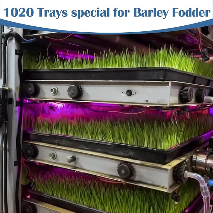 50-Pack Heavy-Duty 1020 Seed Starter Trays, Extra-Thick Plastic Planting Flats for Seed Germination, Microgreens & Seedlings – 21"x11" No-Hole Plant Trays Compatible with 72/128 Plug Inserts