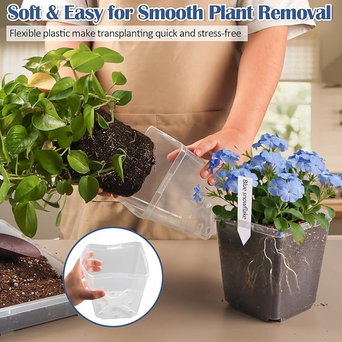 RooTrimmer 5.5 Inch Clear Square Nursery Pots with Drainage & Labels, 30Pcs Reusable Seed Starter Pots for Vegetables, Indoor Outdoor Gardening, Thick Transparent Plastic Plant Pots for Seed Starting