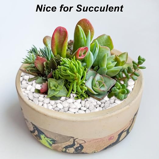 Fish Tank Rocks,Landscaping Pebbles,Decorative Ornamental Pebbles Garden,Landscaping Stones Gravel Filler for Home Decoration Flower Bed Fish Tank Plants Vases Succulents (5 Pounds, White)