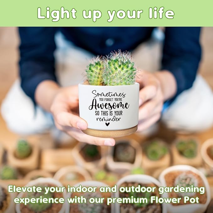 You're Awesome Funny Succulent Plant Pot, Cute 3.5 Inch Small Ceramic Cactus Planter Pot with Drainage, Home Office Desk Decor for Friends Coworker Birthday Christmas Housewarming Gifts (No Plants)