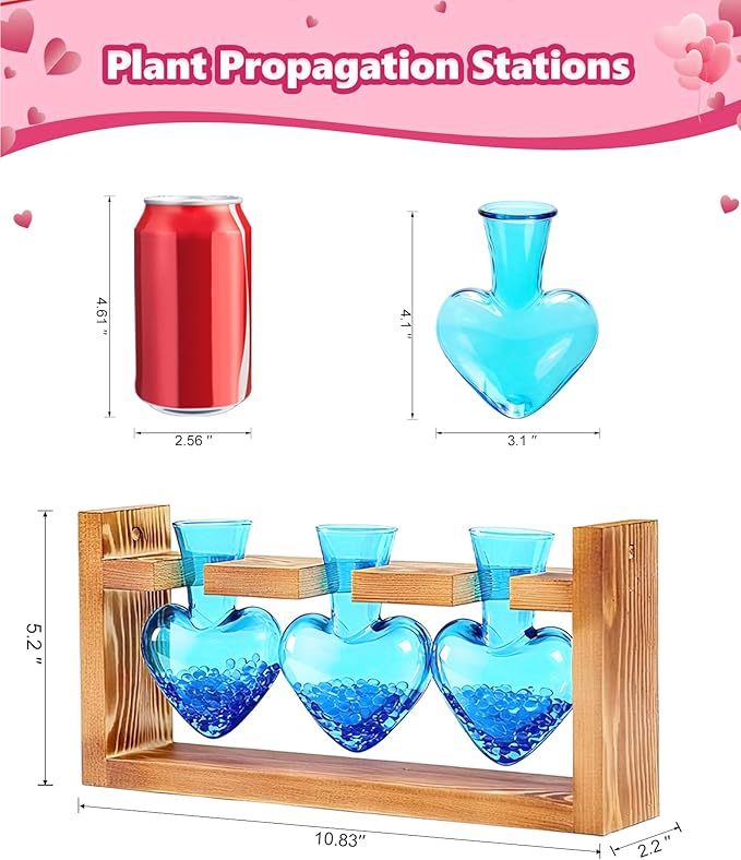 Nacome Plant Terrarium Propagation Stations: Valentines Day Gifts for Her Plant Lovers Women Mom Wife Daughter - 3 Bulb Glass Vase with Wooden Stand Tabletop for Hydroponics Indoor Office Home Decor