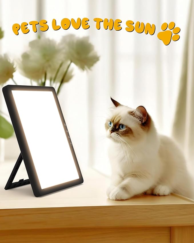 MirthSip 10000 Full Spectrum, UV-Free Light LED Sunlight Lamp with 3 in 1 Mount, Timer & Adjustable Brightness, Portable, Daylight for Office Reading Morning Routine