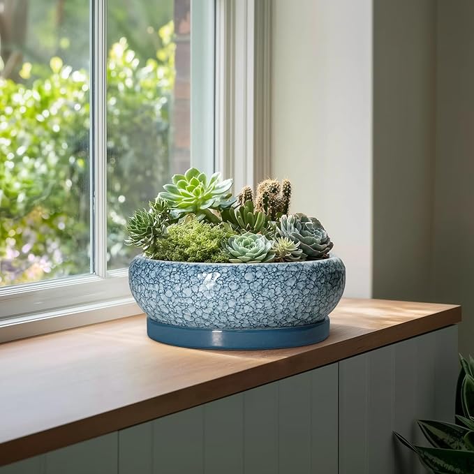 EPFamily Large Succulent Planters - 13 Inch Ceramic Bonsai Pots with Drainage Hole and Saucer, Shallow Plant Pots Indoor Outdoor, Large Planter Bowl, Round Planter, Garden Decor, Gardening Gift, Blue