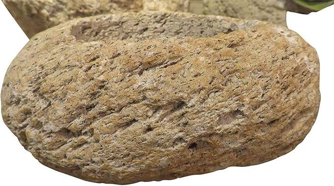 MY SWANKY HOME Rustic Natural Stone Planters Set of 3 Rustic Volcanic Rock Free Form Modern