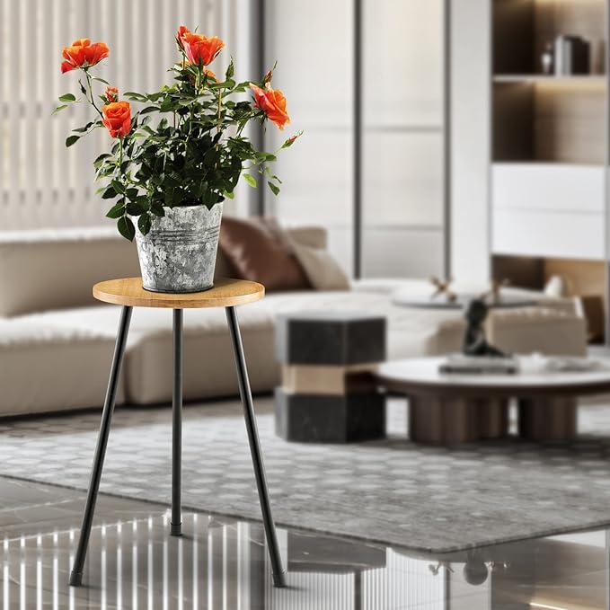 Tall Plant Stand, Mid Century Wood Indoor Plant Stand Plant Table for Flower Pots, Metal Plant Holder, Modern Home Decor Small Round Side End Table (11.8"x20")