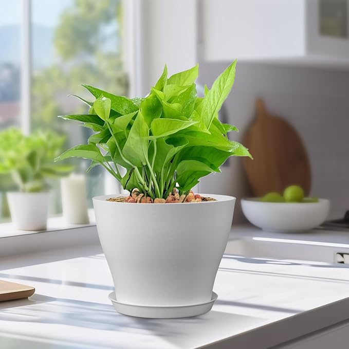 Meowell 6 inch Plastic Nursery Pots, 16 Pack Plant Pots for Small Indoor Outdoor Plants, Flower Pots with Drainage Holes and Saucers, Decorative Seedling Starter Planters for House Plants, White