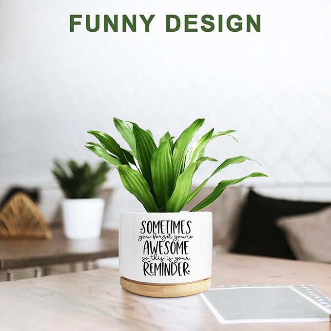 Aryabtya Cute Succulent Planter, Flower Cactus Plant Pot Gifts, Thank You Inspirational Gifts for Women Men Coworkers Teachers Plant Lovers, Office Home Windowsill Indoor Decor (No Plants)