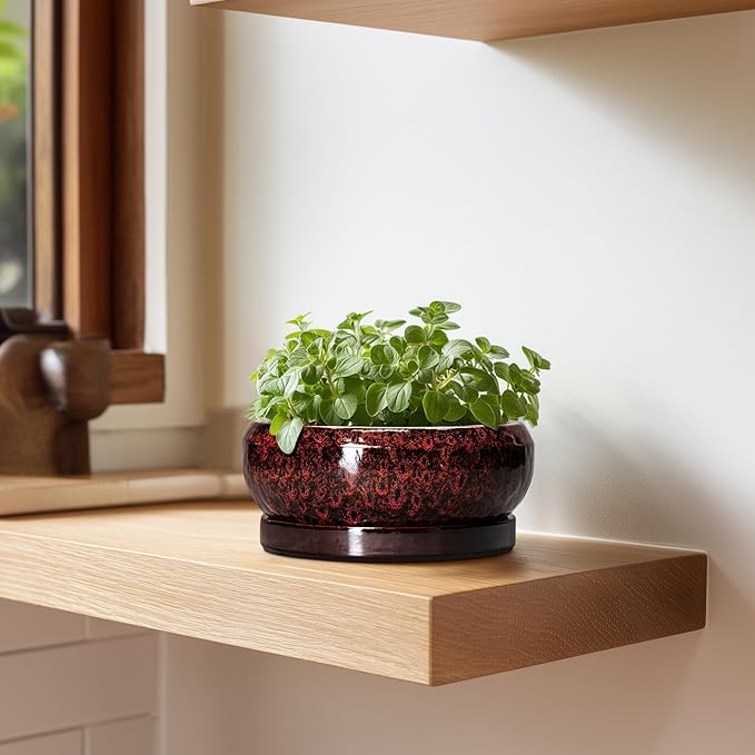 EPFamily Succulent Planters 6 Inch - Ceramic Bonsai Pots with Drainage Hole and Saucer, Small Bonsai Planter, Round Planter Bowl, Shallow Plant Pots Indoor, Room Decor, Gifts for Plant Lovers, Red