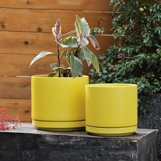 PLANTATOREM Ceramic 10 Inch Mid Modern Planter Pot with Drainage Hole and Saucer, Indoor Cylinder Round Flower Pot, Perfect for Planting Succulents, Herbs, Flowers, House Plants, Bumblebee