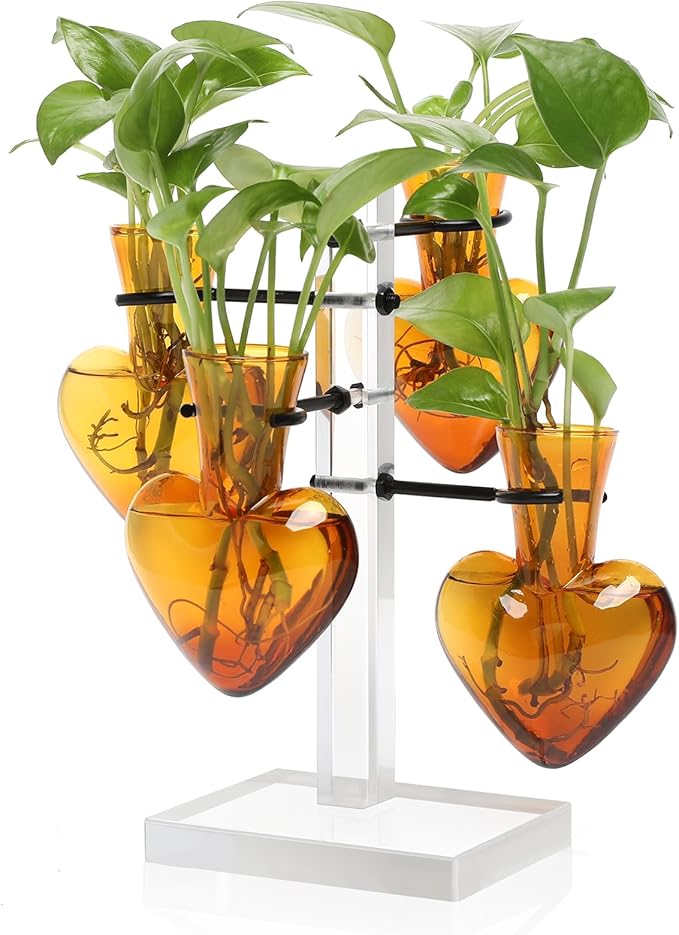 YYHglass Clear Plants Propagation Stations Terrarium Kit Birthday Gift for Women for Indoor Home Office Decor Acrylic Plant Accessories - 4 Love Hear Vase