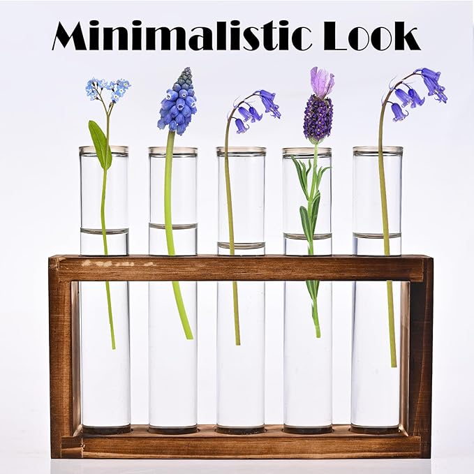 Tigvio Desktop Glass Plant Propagation Station with 5 Test Tubes in Wooden Stand - Hydroponic Plants Cutting Office Home Decoration and Garden Decor Terrarium (5 Tubes)