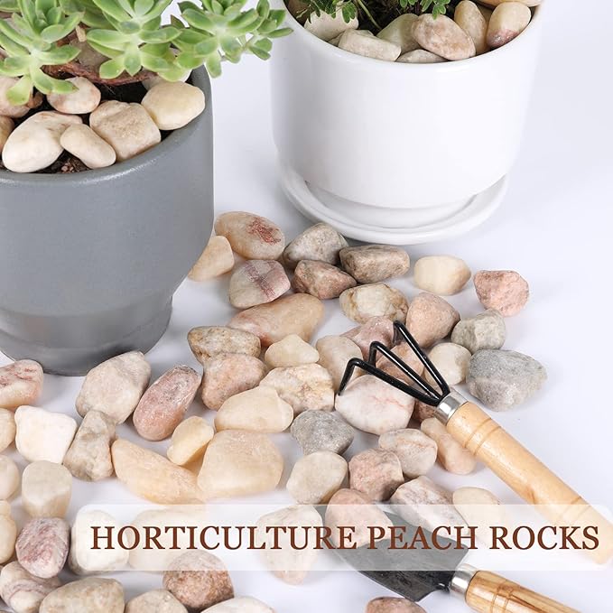 Ausluru 5lbs Natural River Rocks, Polished Pebbles for Plants Garden, 1-2 inch Decorative Peach Stones, Ideal for Fish Tank, Vases, Crafting, Home Decor and Garden Landscaping Rocks,Peach