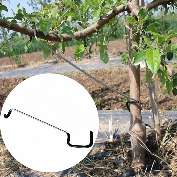 Fruit Tree Branch Spreader 10PCS Fruit Trees Limb Spreader Fruit Tree Branch Spreaders Durable Solution for Tree Support Branches Extension (14 inches)