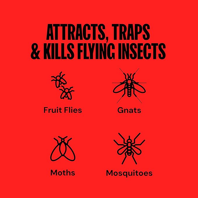 DynaTrap DT152 Indoor Insect Trap and Killer – Catches and Kills Fruit Flies, Gnats, Moths, Mosquitoes & Other Flying Insects (Pack of 6)