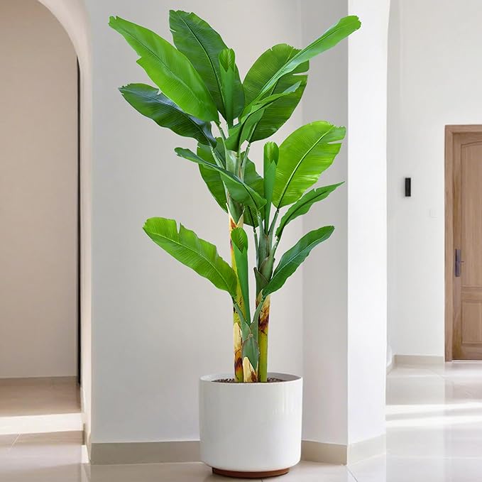 Artificial Banana Tree 6ft(72in) Tall Faux Banana Leaf Plant with 12 Leaves, Fake Realistic Tropical Plants Perfect for Home Garden Yard Patio Living Room Decor Indoor (6feet,1Pack)