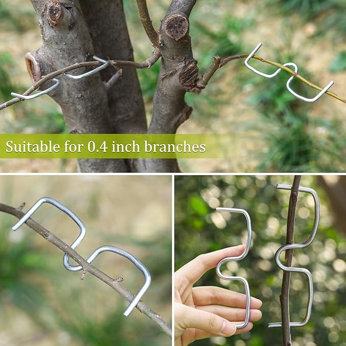 50 Pcs Fruit Tree Limb Spreaders Plant Tying Machine Puller Branchs Preaders Plum Tree Open Angle Pull Branch Stereotyped Tying Bending Farm Tools, M-5.12(Inch), Galvanized