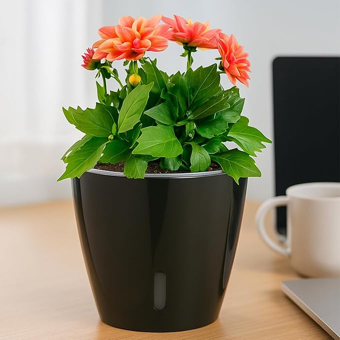 KvyusFlourish Self-Watering Pots for Indoor Plants, 6-Pack 6.7'' Self Watering Planter with Drainage Holes, Small African Violet Pots with Water Indicator, Clear Wick Pot, Black