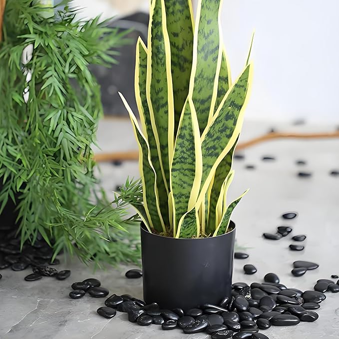FANTIAN 2 lbs Black Pebbles for Indoor Plants, 3/8 inch Decorative Rocks, Black River Rocks for Succulent Potted Plant, Vase, Aquarium, Landscaping and Outdoor Garden Rocks