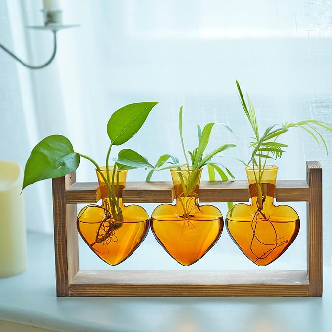 Kingbuy 3-Heart Plant Terrarium Kit - Stained Glass Vase Propagation Station with Vintage Wood Stand - Wall-Mounted Tabletop Indoor Garden Decor for Home Kitchen Wedding Gift for Plant Lover, Amber