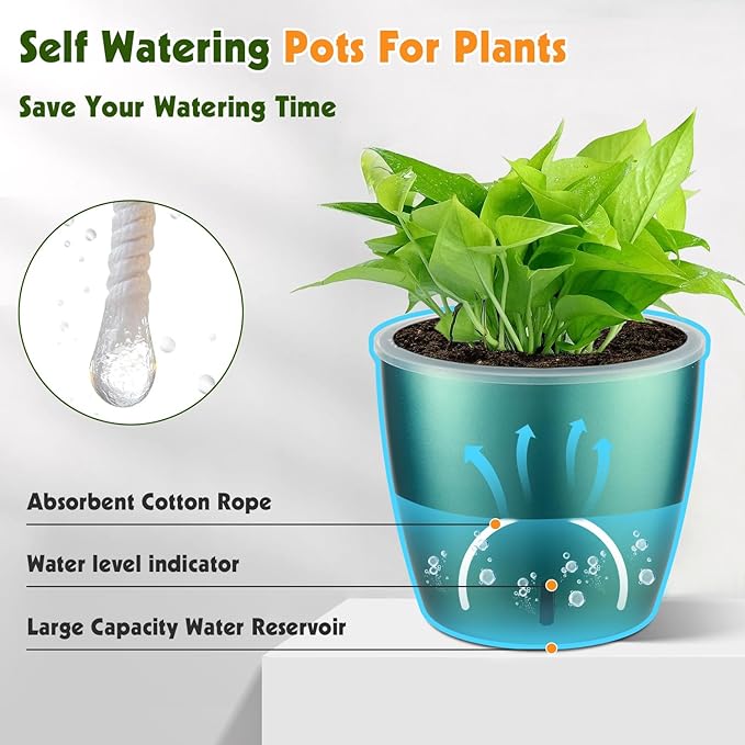 KvyusFlourish Self Watering Pots for Indoor Plants, 6-Pack 5'' Self Watering Planter with Drainage Holes, Small African Violet Pots with Water Indicator, Clear Wick Orchid Pot, Blue Gold