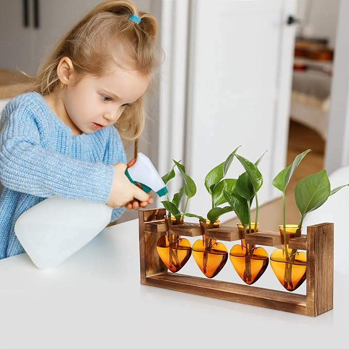 CYZglass Plant Propagation Stations Heart Plant Terrarium Kit Gift for Women Plant Lover Glass Vases