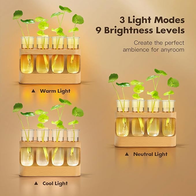 Plant Propagation Station with LED Light – Beech Wood & Glass Desk Decor, Indoor Terrarium with Wooden Stand, Plant Gifts for Women Plant Lovers