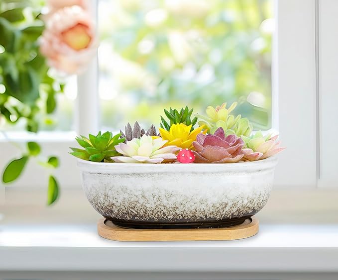 ARTKETTY Succulent Pots, 1 Rectangle Planter + 1 Ceramic Bonsai Pot with Drain Tray, 2 Pack Large Shallow Succulent Planters for Indoor Plants, Round Cactus Flower Plant Pot for Desk Windowsill Decor