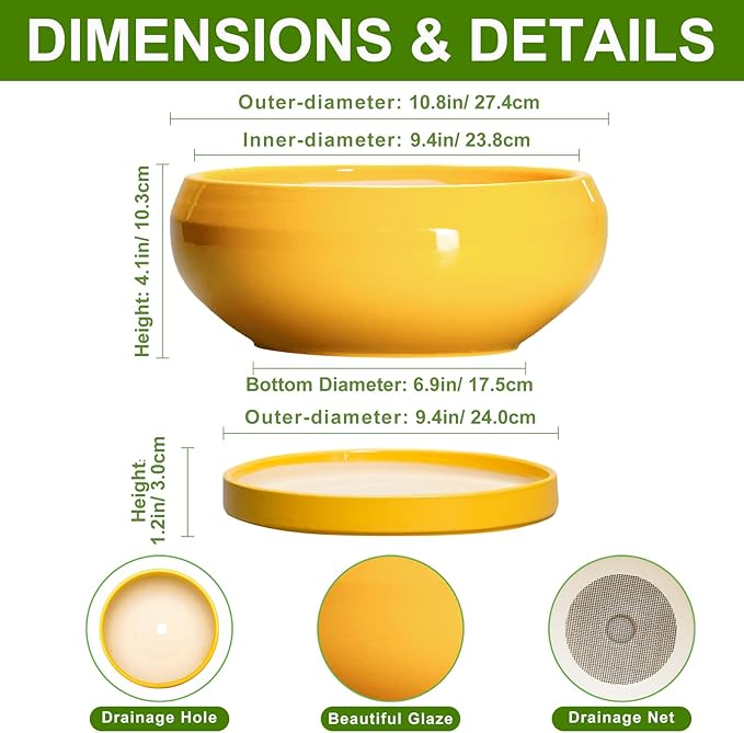 EPFamily Succulent Pots 10 Inch - Ceramic Bonsai Pots with Drainage Hole and Tray, Shallow Plant Pot Indoor Outdoor, Modern Bonsai Tree Pot, Round Planter Bowl, Home Decor, Housewarming Gift, Yellow