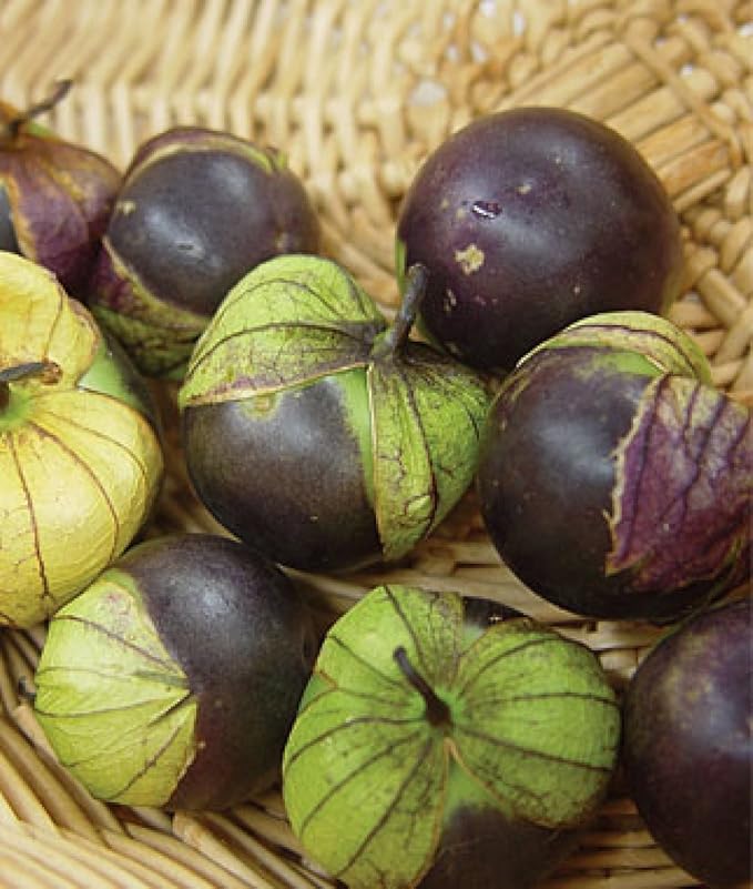 Seeds Purple Cape Gooseberry Goldenberry Groung Cherry Physalis Non GMO Vegetable for Planting
