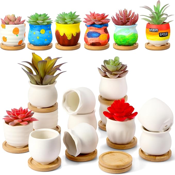 Remerry 2.5 Inch Mini White Succulent Planter Pots with Bamboo Tray Paint Your Own Ceramic Planters DIY Small Succulent Flower Plants Pot Containers Valentine Gifts for Plant Lover(Matte Style,24 Pcs)