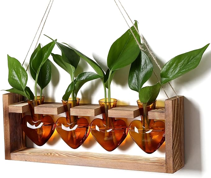 CYZglass Plant Propagation Stations Heart Plant Terrarium Kit Gift for Women Plant Lover Glass Vases