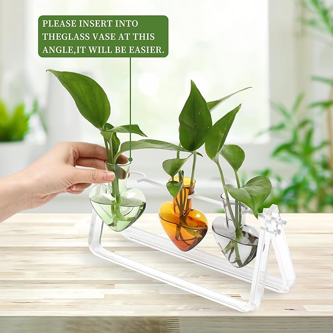 CYZglass Clear Plant Terrarium Propagation Stations with Acrylic Stand Birthday Gifts for Women Office Home Decor