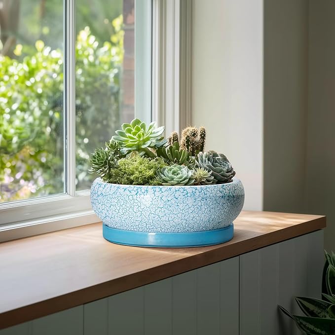 EPFamily Bonsai Pots - 13 Inch Ceramic Succulent Pots with Drainage Hole and Tray, Large Succulent Planter Indoor Outdoor, Round Planter, Shallow Plant Pot, House Decor, Gifts for Plant Lover, Blue