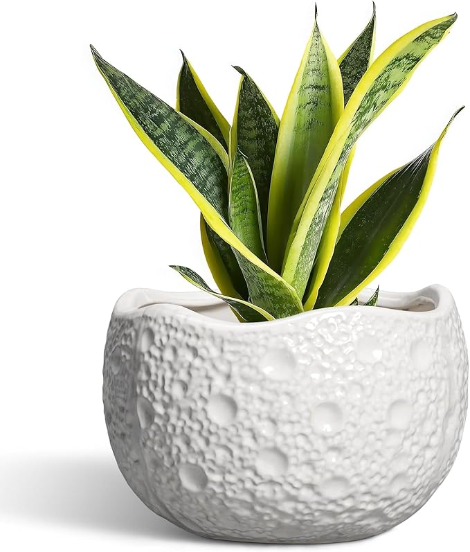Thirtypot Ceramic Plant Pot - 8 Inch Round Planter with Drainage Hole, Decorative Plant Pots for Indoor Outdoor Plants, Modern Unique Flower Pots, House Living Room Decor, Housewarming Gifts, White
